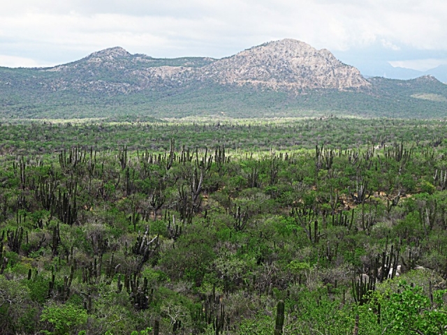  Paysages de Los Cabos 